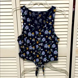 American Eagle Crop Top